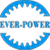 EVER-POWER GROUP CO., LTD.